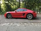Cayman 981 275 ch