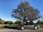 964 Carrera 2