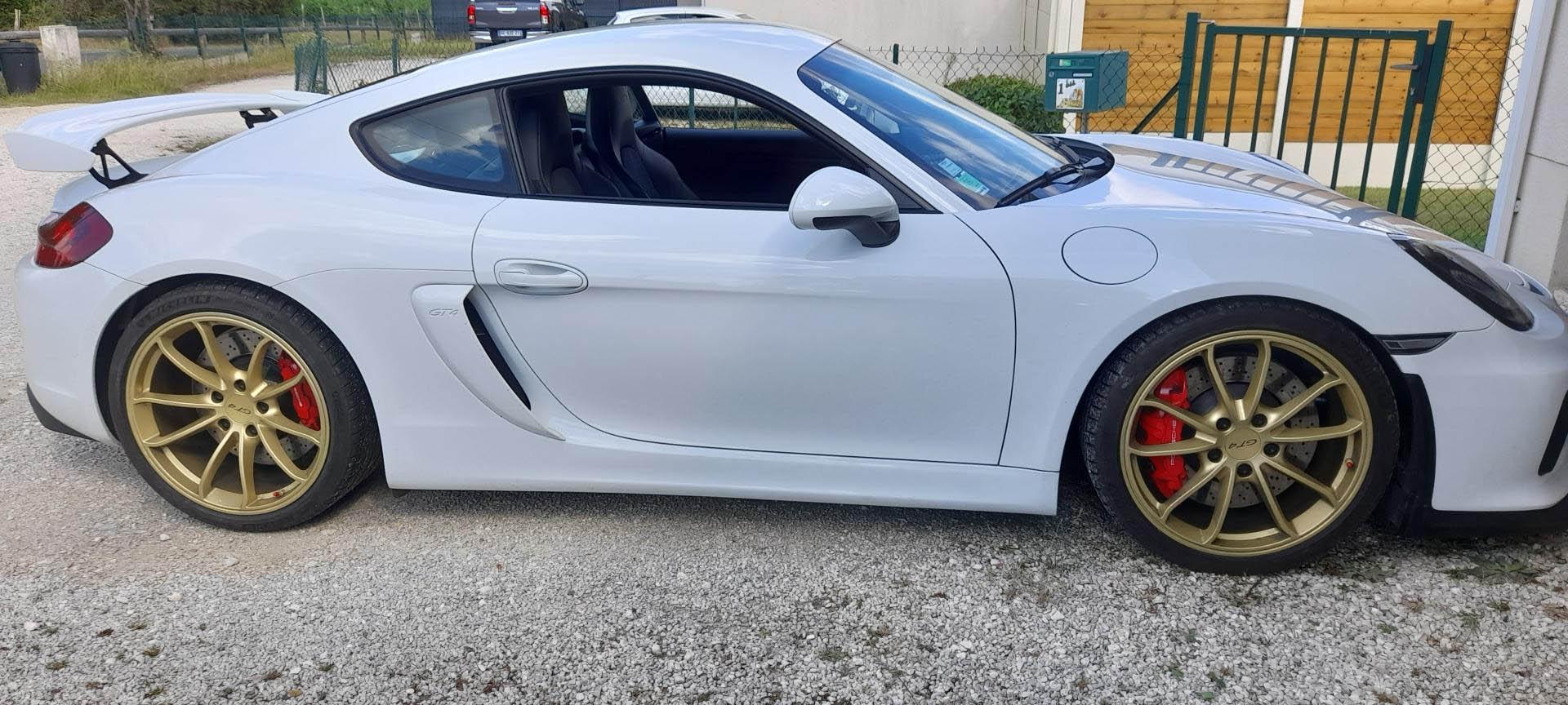 Porsche Cayman 981 GT4 (Cayman)