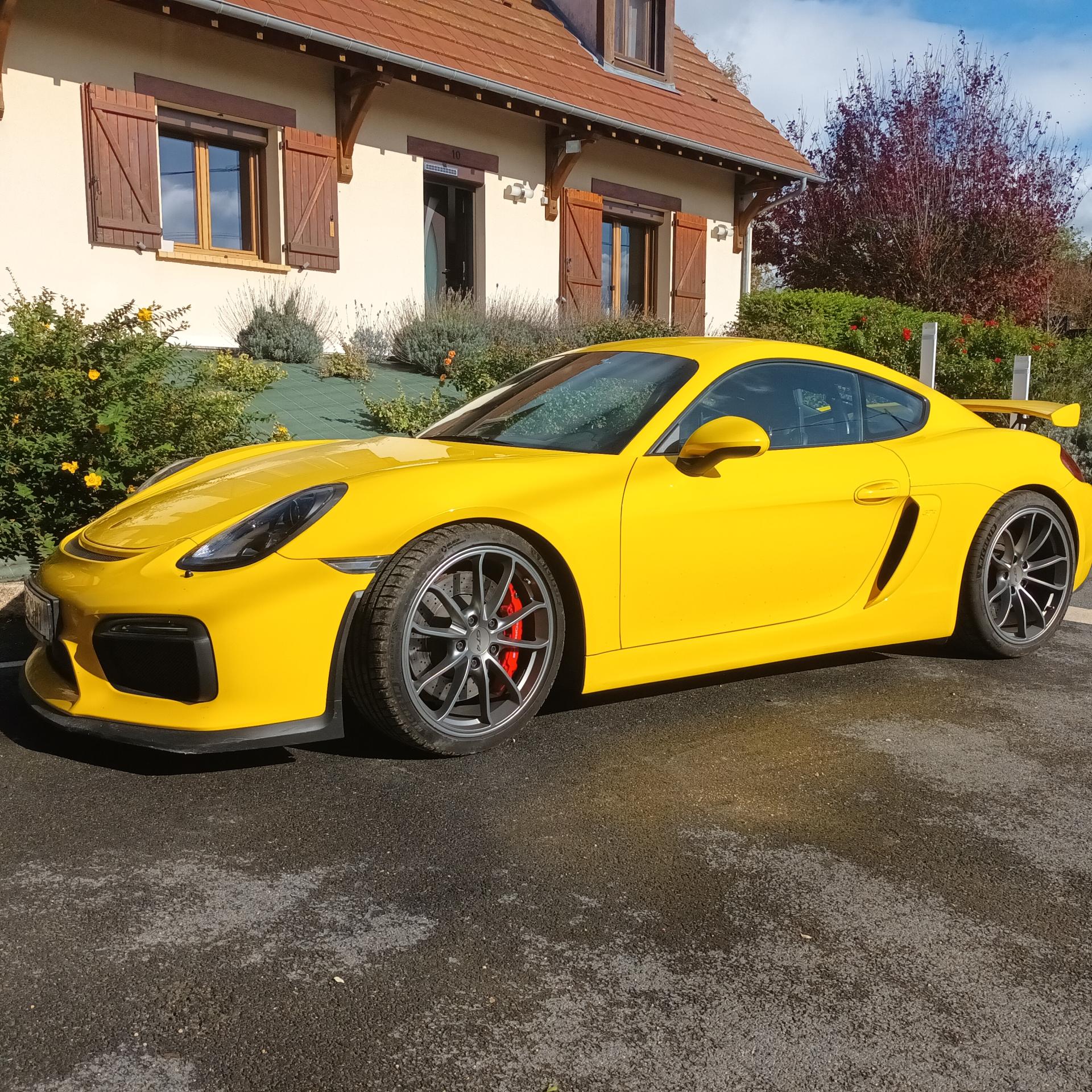 Porsche Cayman 981 GT4 (Cayman)