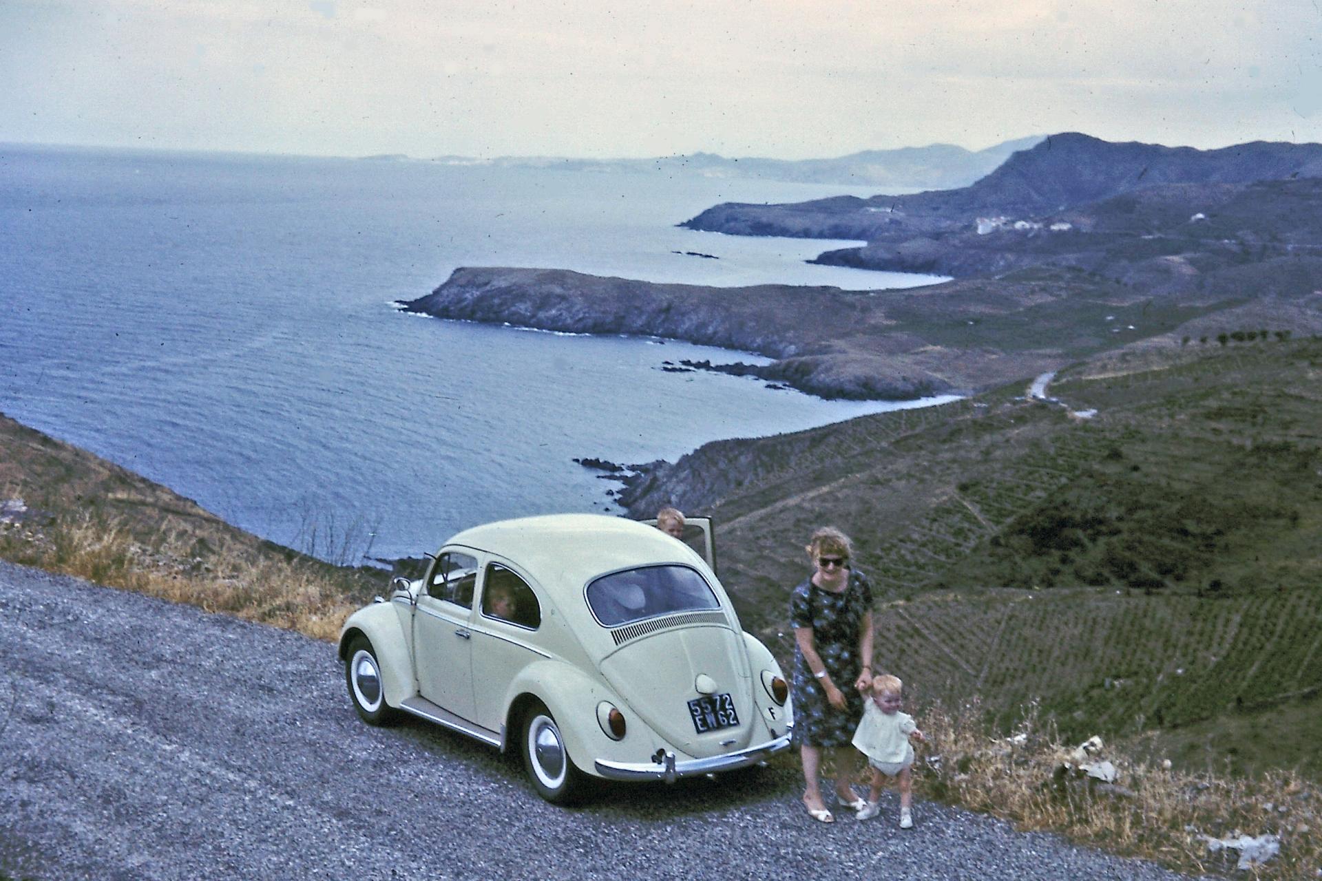 Coccinelle marc joly