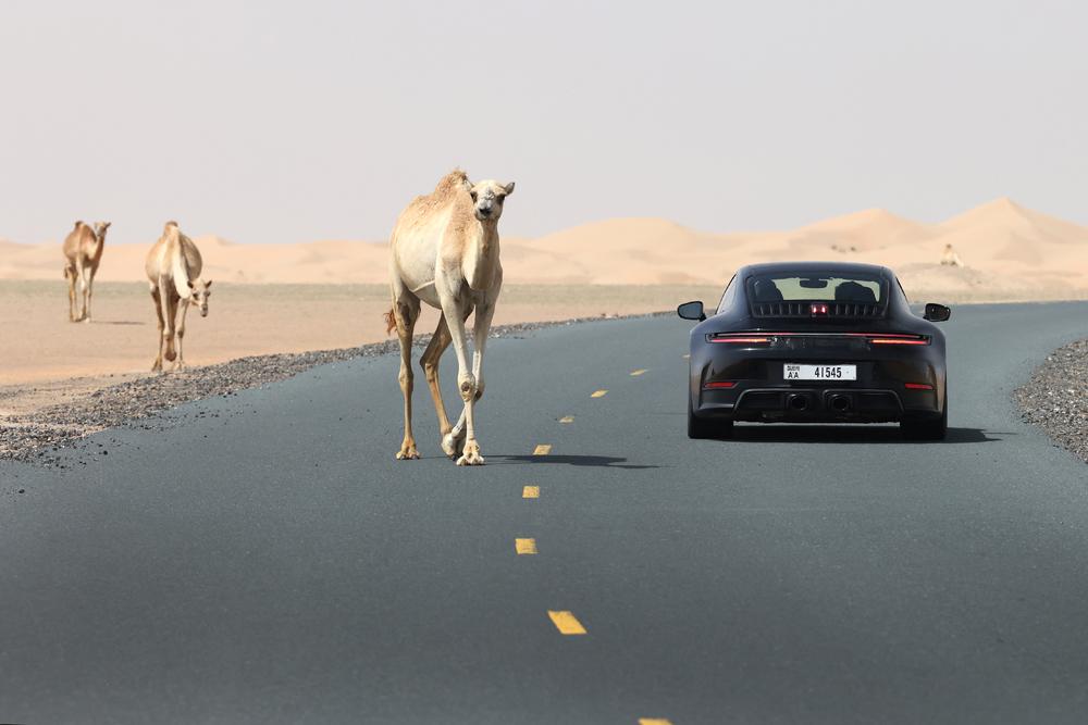 Essai porsche 992 phase 2 jpg