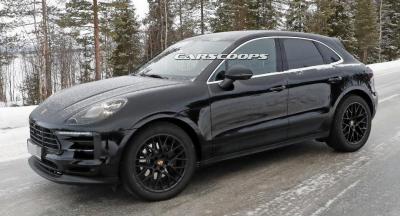 Macan 2