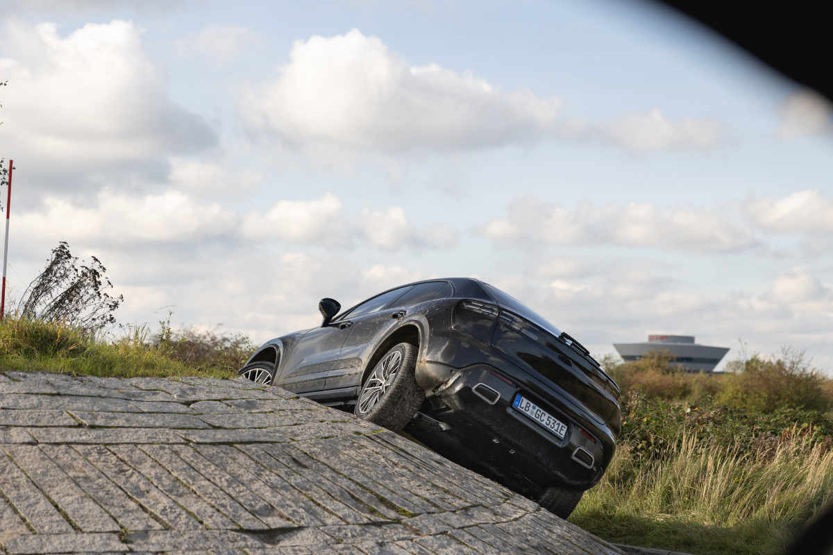 Macan electrique 1