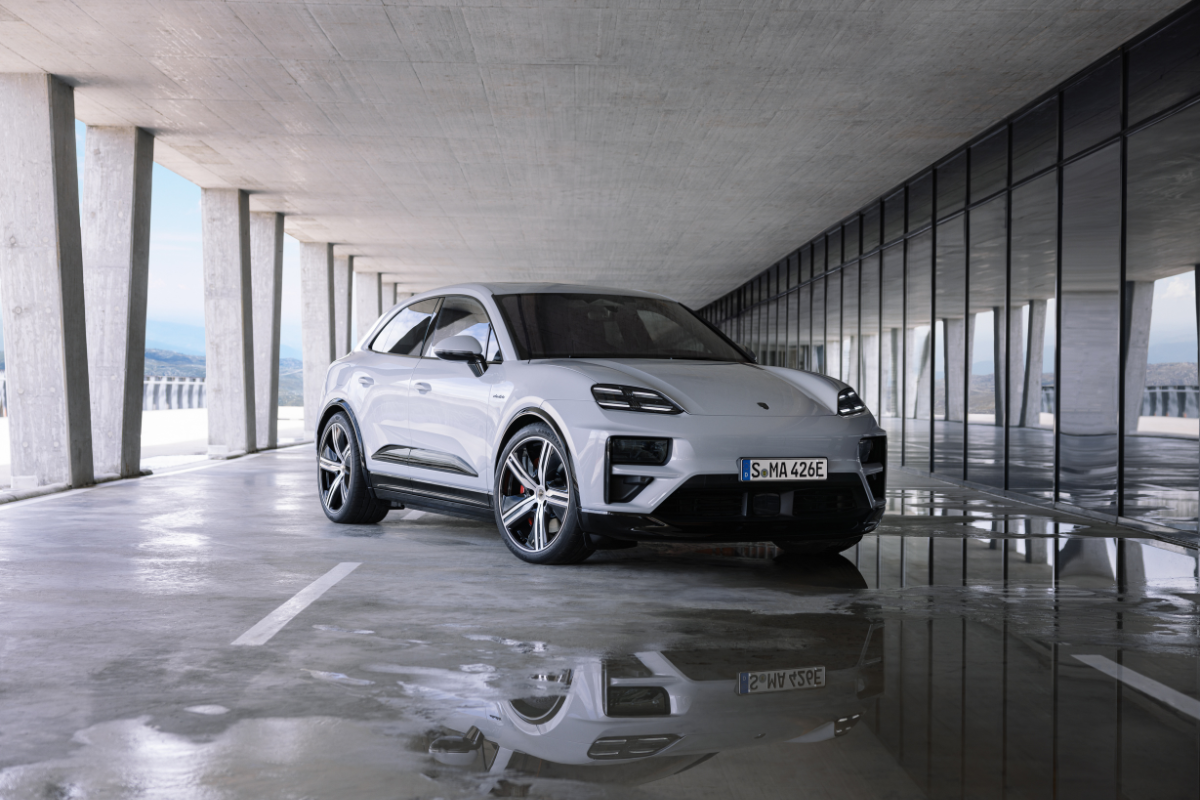 Macan electrique 2